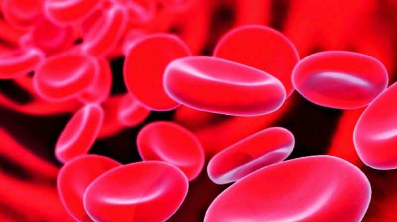 Screening helps tackle anaemia