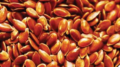Flax seed fiber can protect against obesity, finds study