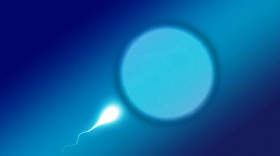 Sperm DNA damage in men can cause miscarriage
