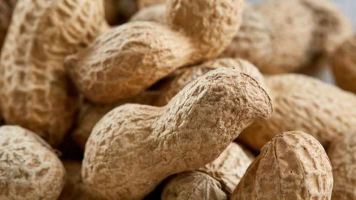 Preventive treatment for peanut allergies succeeds in study