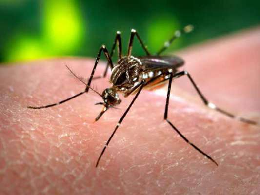 Dengue patients at a greater risk of stroke