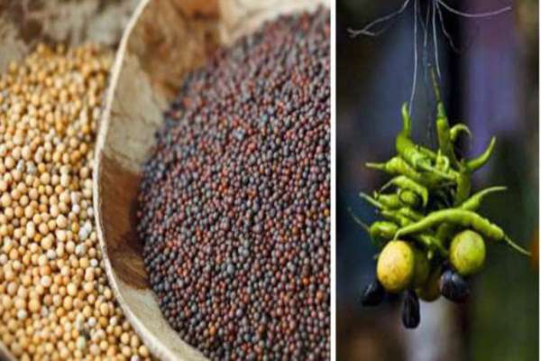 Mustard Seed Astrological measures to overcome evil eyes problem