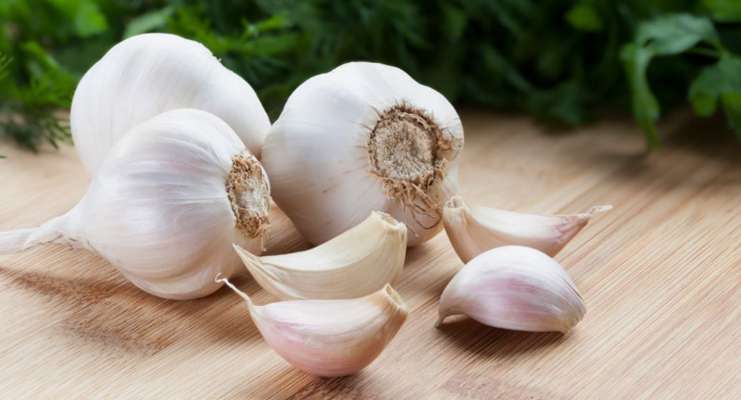 Benefits of Garlic Intake: read once