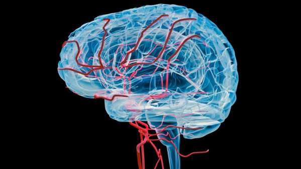 Oxygen Boosts Function Of Brain Blood Vessels in Dementia Patients