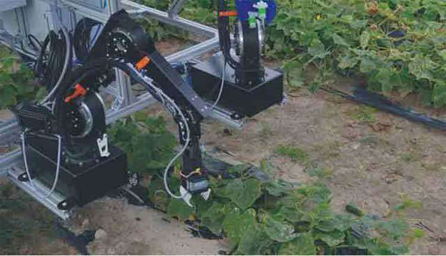 New robot may help in harvesting crops