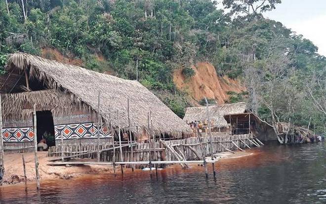 In the river of dreams: exploring the Amazon