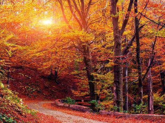 A self-care guide for easing into autumn