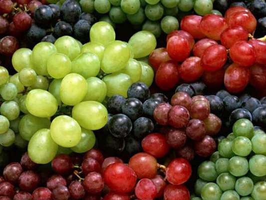 Treat Your Hair To The Goodness Of Grape Mask Today