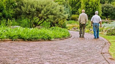 Exercise may improve thinking in sedentary seniors with cognitive decline