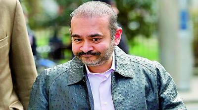 UK court denies bail to Nirav Modi, will be in custody till March 29