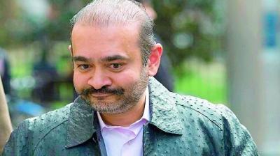 Nirav Modi to seek bail again at UK court hearing today